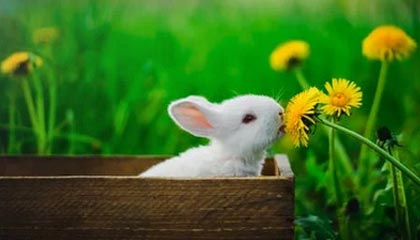 星空体育-澳大利亚站结束直接飞，维斯塔潘乘私人飞机清晨抵达虹桥，上海进入F1 时间！